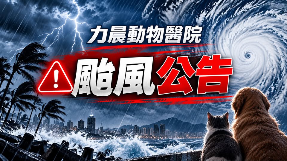 力晨動物醫院 貼文圖片