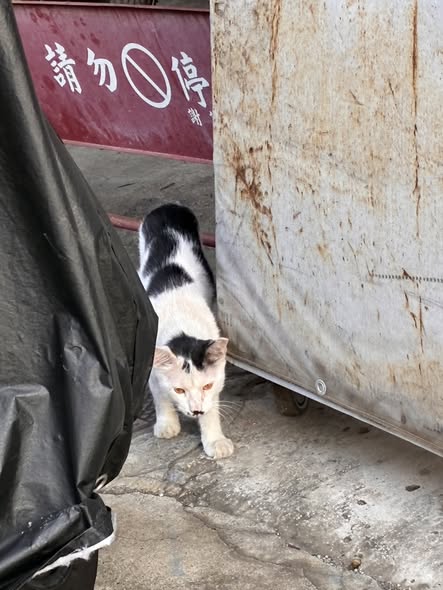 力晨動物醫院 貼文圖片